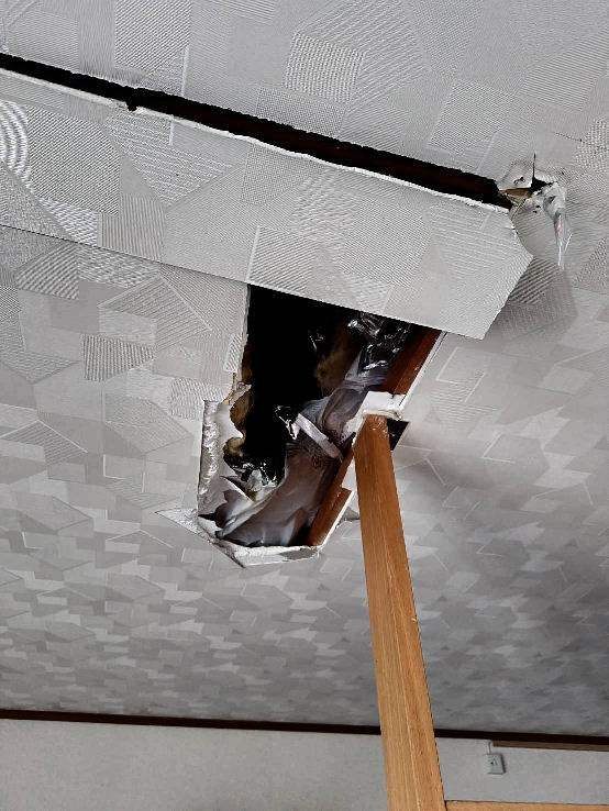 waterway cleaning 2025 fall.jpg